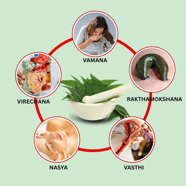 Panchakarma Detoxification before conception