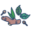 icons8 herbs and spices 64